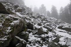 35.Chirat près du saut du Gier