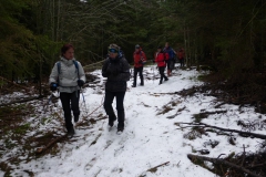 7.Dans la forêt de Panère