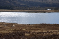 29.Loch Coulin
