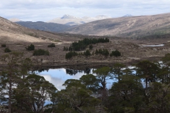 35.Loch Clair