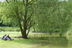 1.Dans un parc à Orbec