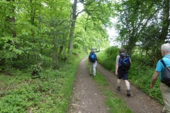 5.Au sud de Sant-Germain-la-Campagne