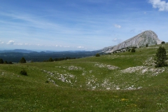 p1040750