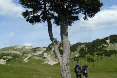 p1040755