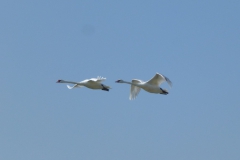 P1210916