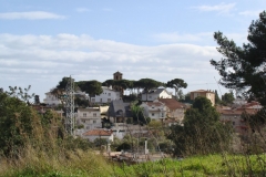 B33