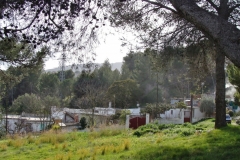 B34
