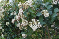B44