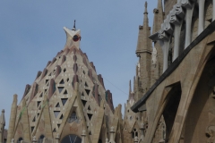 P1000823
