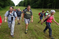 2.Dans le Grand Bois de Tintigny