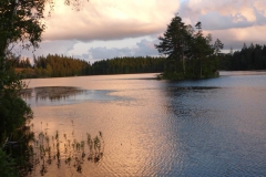 36.Le lac Björkesjön