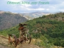 Cévennes