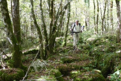 6.Sur les lapiaz du bois de la Charmette et de Lisney