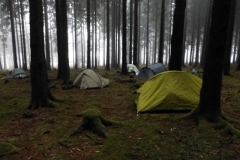 1.Bivouac dans Greimerather Wald