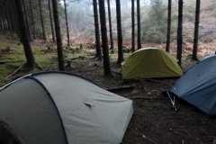 16.Bivouac le long du Hölzbach, au nord de Waldhölzbach