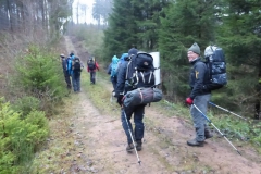 17.Dans Hochwald Zerfer Wald