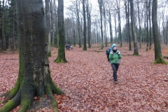 24.Au sud-ouest de Schimmelkopf