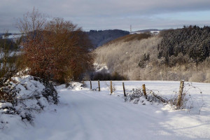 De La Roche à Cielle : un excellent entraînement «montagne»