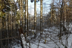P1000090