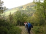 En Bourgogne