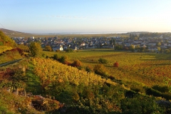 21.Nuits-Saint-Georges