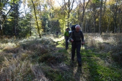 29.Forêt de Morey-Saint-Denis