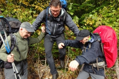 8.En lisière de la forêt de Bouilland