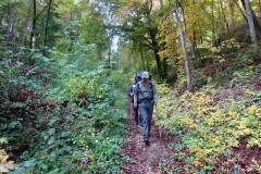 9.Dans la forêt de Bouilland