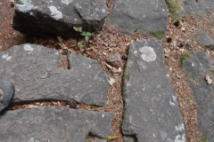 dsc05397