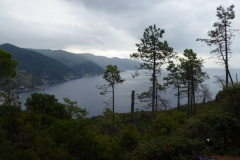 P1050042 - Copie