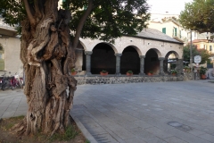 P1050127