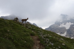 28.Près du Pas de Pagari