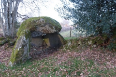 18.Le dolmen de la Pierre Pécoulière