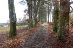 47.À l'ouest de la tourbière de Longéroux