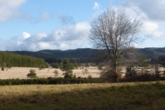 48.La tourbière de Longéroux