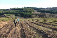 63.En gravissant le Puy de la Monédière