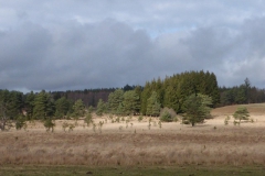 73.Près du Puy Peylle