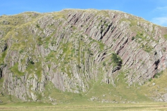 BIMG_2718