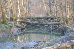 DSCN9702