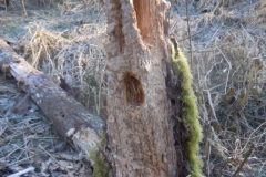 DSCN9710
