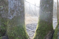 DSCN9711