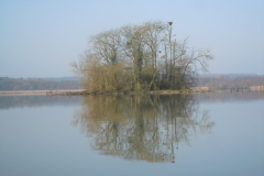 DSCN9733