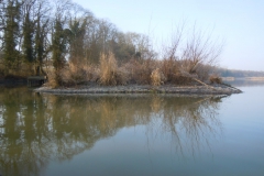 DSCN9738