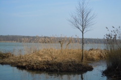 DSCN9764