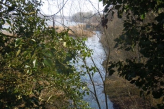 DSCN9786