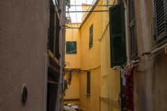 DSC_4453