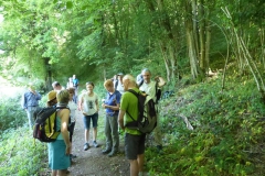 17.En face du moulin Guibin