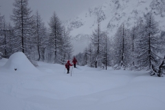 40.À la descente, vers 1880 mètres