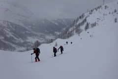 43.Alpe di Formazzora, vers 1980 mètres