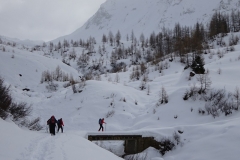 7.Alpe di Cristallina (1800 m)